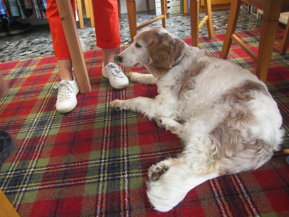 Schotse winkel, Maasdam, Schotland, kilten, Schotse ruiten, tartans, clotted cream, scones, haggis, marmalade, whisky, doedelzak, shortbread, irnbru 